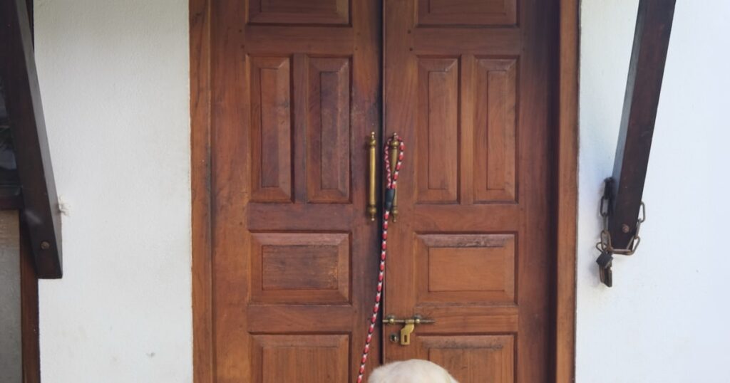 Perro esperando junto a la puerta, ansiedad por separación