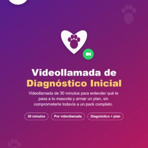 Primera Entrevista: Diagnóstico y Plan