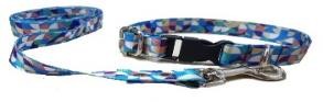 Conjunto Collar y Correa Premium - Argos Petshop