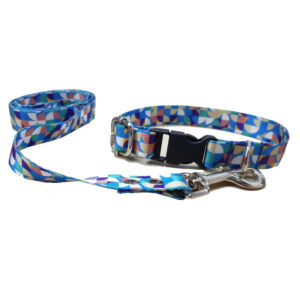 Conjunto Collar y Correa Premium - Argos Petshop