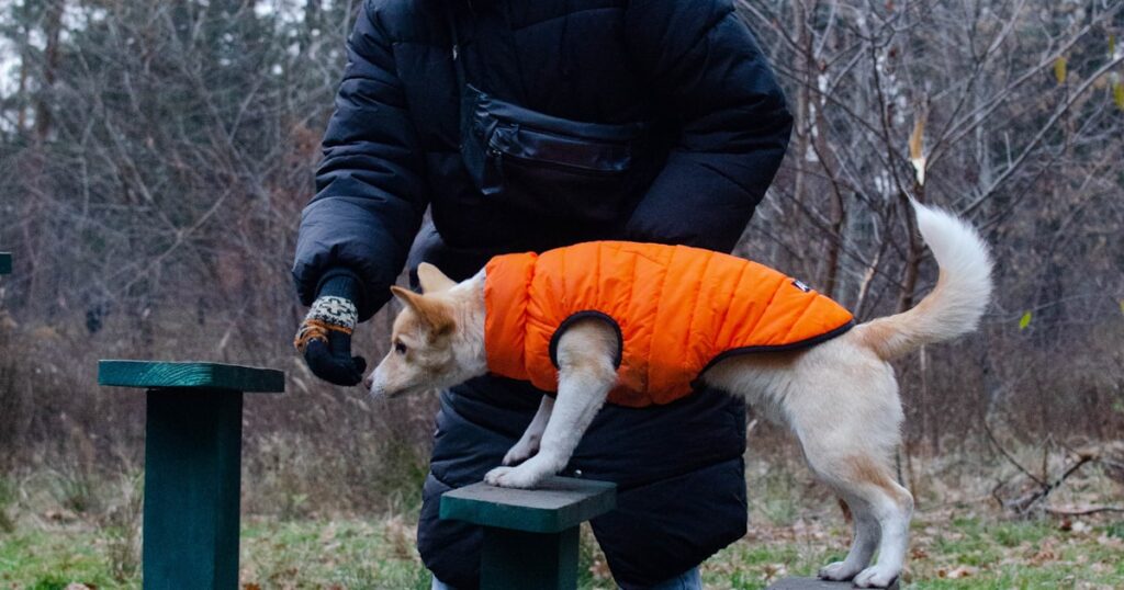 Persona sentada tranquila junto a su perro, primera sesión de comportamiento