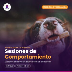 Sesiones de Comportamiento — perro recibiendo un premio