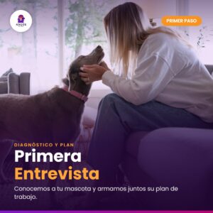 Primera Entrevista — persona saludando a su perro en casa