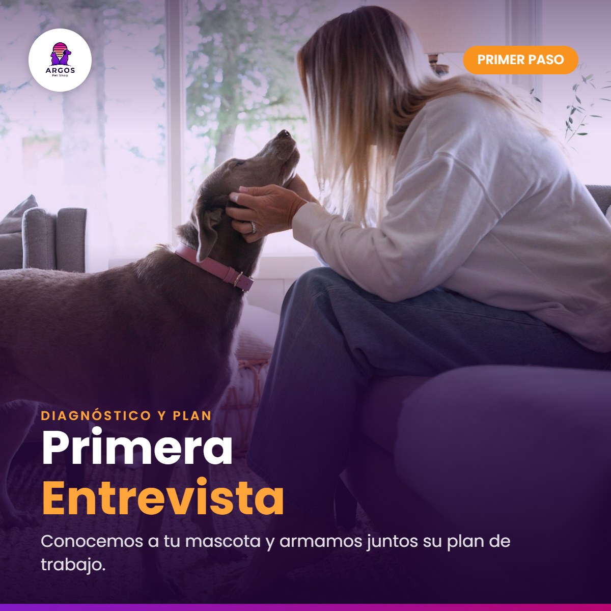 Primera Entrevista — persona saludando a su perro en casa